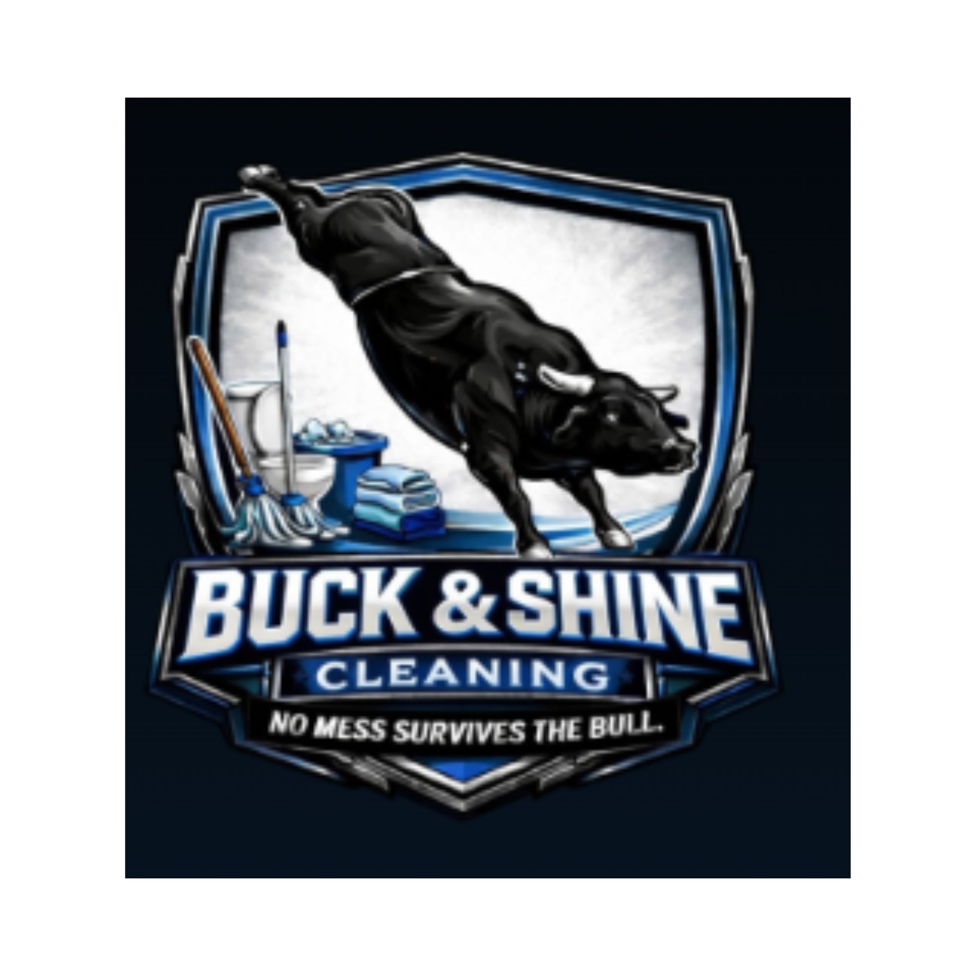 buckandshinecleaning